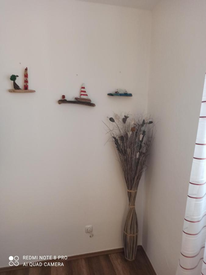 Apartments Vrime 比奥格勒·纳·莫鲁 外观 照片